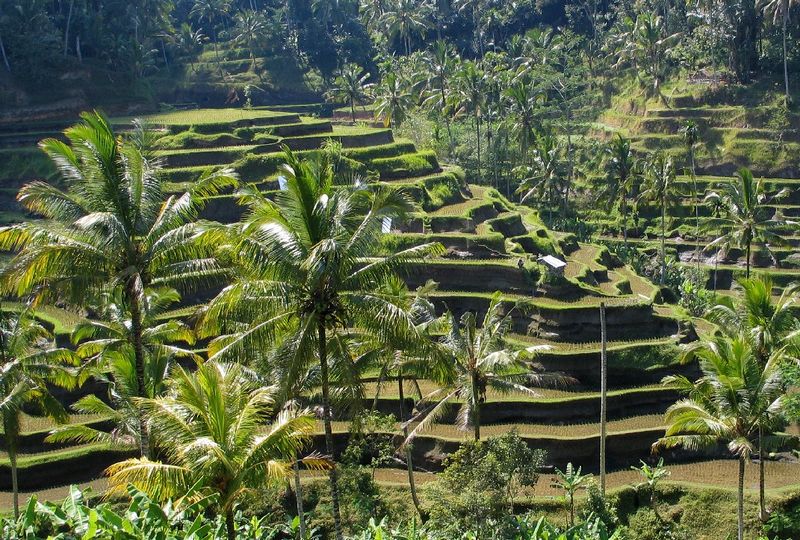File:Bali panorama.jpg