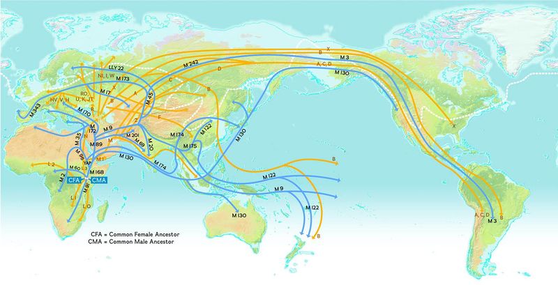 File:Human migration patterns.jpg