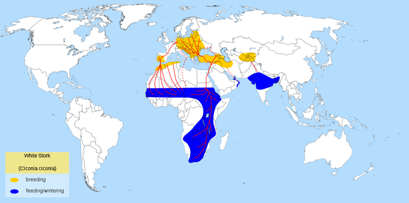 File:White Stork habitat map.png