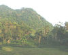 The Cave Temple Dambulla or Golden Temple of Dambulla