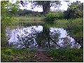 Thumbnail for version as of 07:51, 31 July 2010