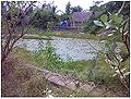 Thumbnail for version as of 05:38, 22 July 2010
