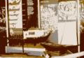 Thumbnail for version as of 11:59, 15 May 2012