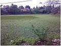 Thumbnail for version as of 04:18, 29 July 2010