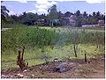 Thumbnail for version as of 04:57, 27 July 2010