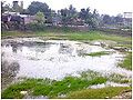 Thumbnail for version as of 04:57, 4 August 2010