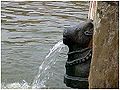 Thumbnail for version as of 04:31, 4 August 2010