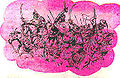 Thumbnail for version as of 22:20, 10 December 2012