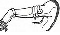 Thumbnail for version as of 12:00, 26 December 2013