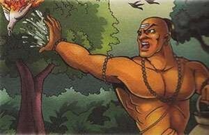 Brāhmaṇa Kauśika burns birds with his meditative powers..jpg