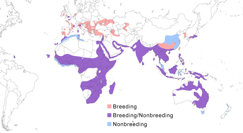 File:Egret habitat map.jpg